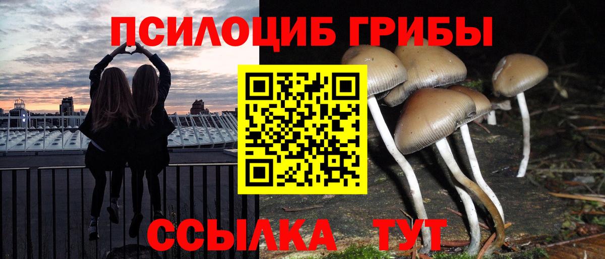 Галлюциногенные грибы мицелий  Псилоцибиновые грибы ЛСД  Алейск  Вход с VPN 
